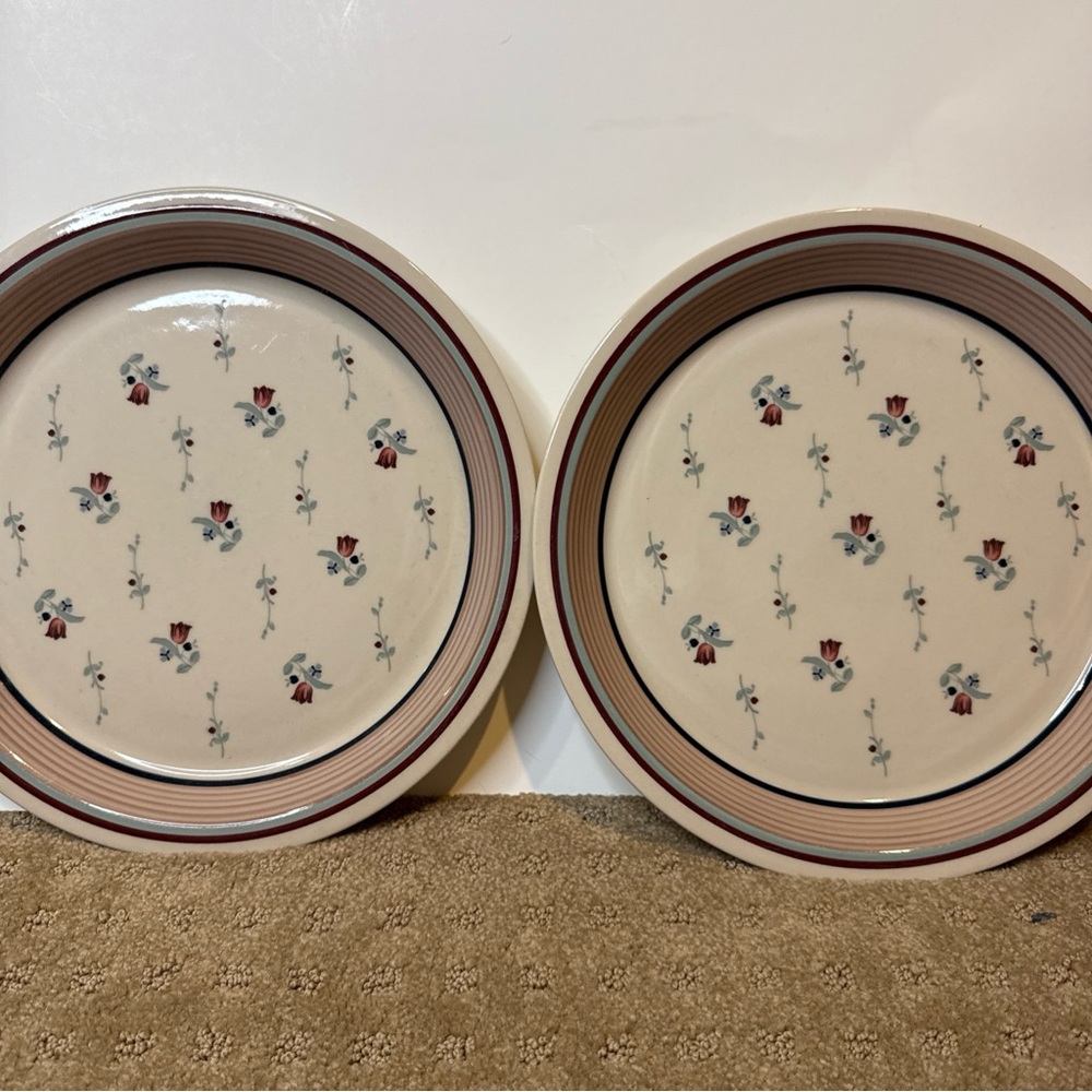 Epoch American Chintz E208 2 dinner plates